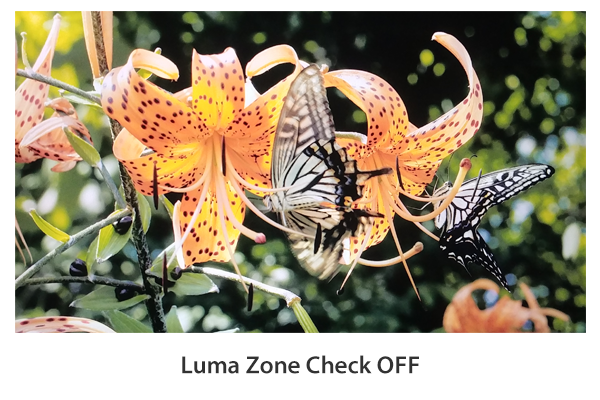 Luma(Y') Zone Check